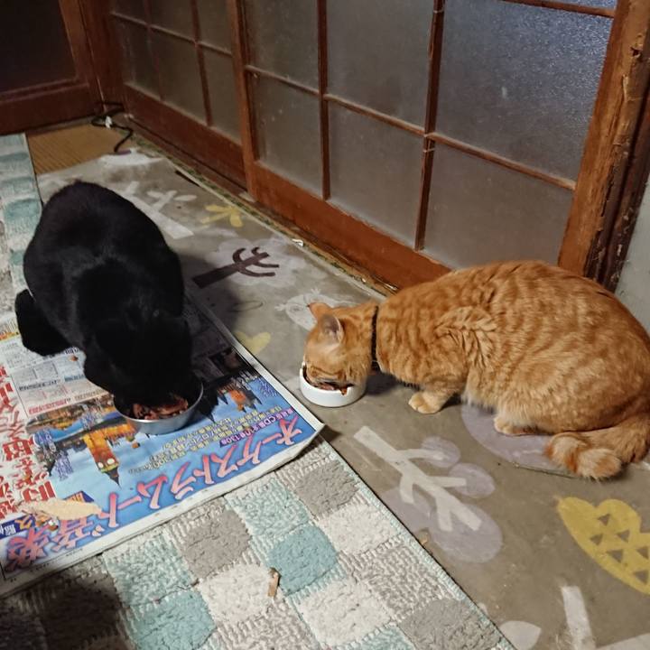 35371dc2 ce6d 4510 b641 f8aa763b5b6b 1650014767659