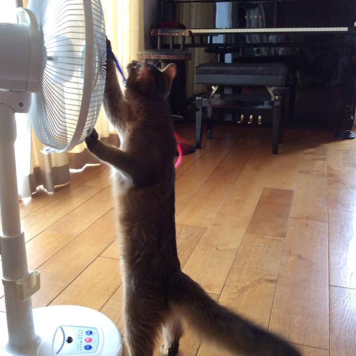 35372f7e 2ad4 467d a864 7f08ccac55da 1564545753248