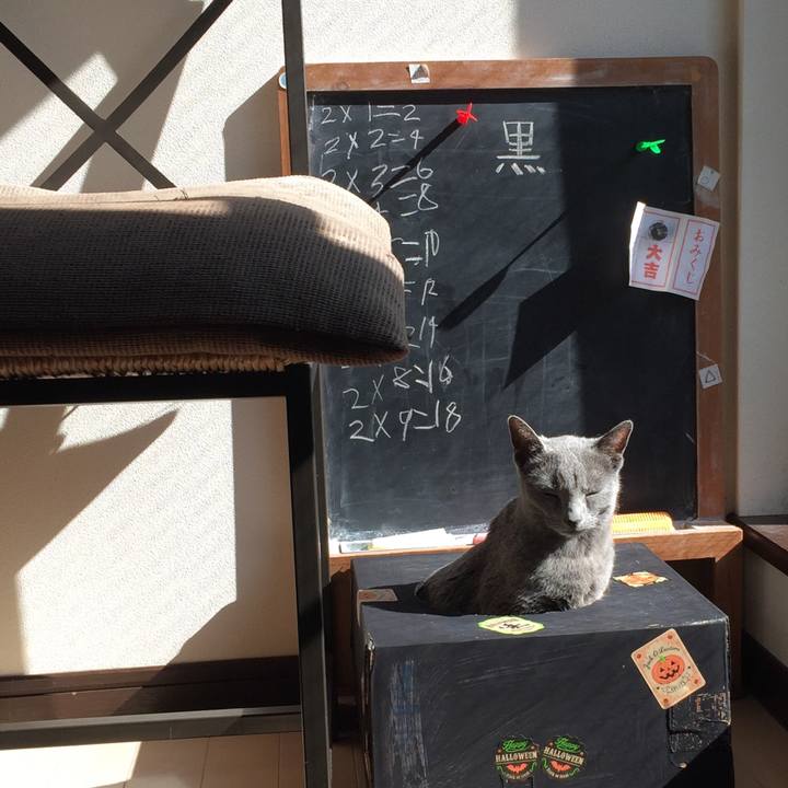 35374a37 38c2 439b 84a0 43cc4238caea 1520854786172