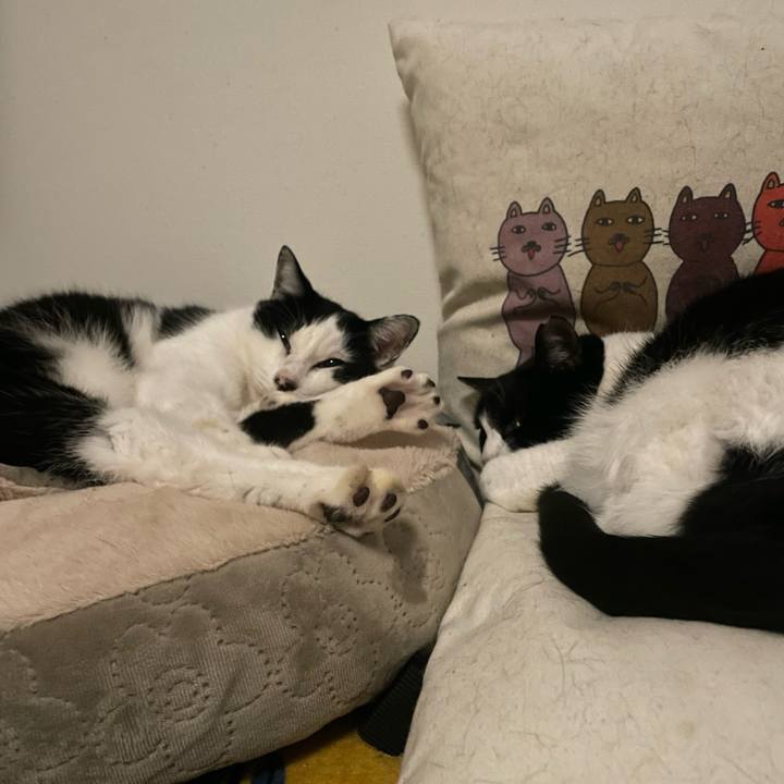 3537985e c6aa 4ec5 afe4 327c7b5c437c 1764255836512