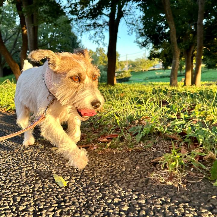 3537ff49 a878 45df b93b 98144ff6fc59 1693561698155