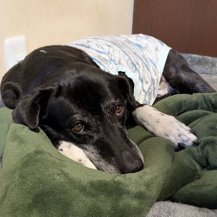 3538400a 5f82 466b 986c 2f8902f0507e 1772412993363