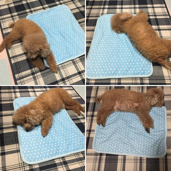 35386f19 53e4 4cdb 86a2 76ce0d14f50c 1558348328485