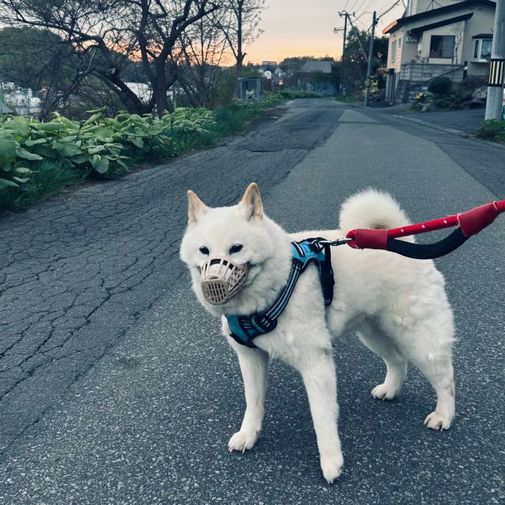 35387a76 bf6d 4ae5 a927 6405fb67322c 1683579190530