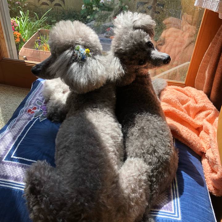 353896e4 7052 4984 b630 f7f57c6bd04e 1522628071202