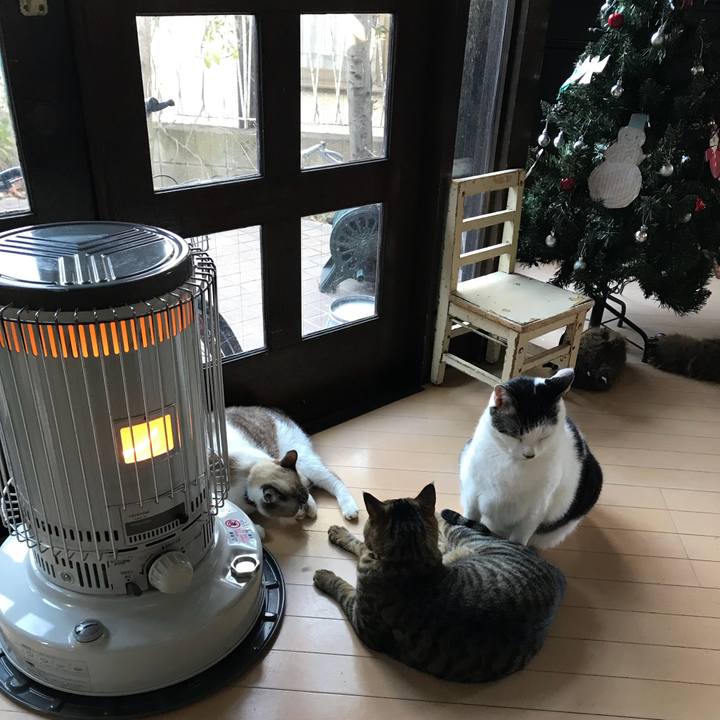 3538be17 cd51 445f 91a2 47ea5cc5840f 1513036284788