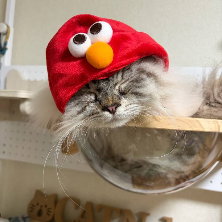 3538c5e3 4779 4de5 9ee5 8633ffeb504c 1788528843038
