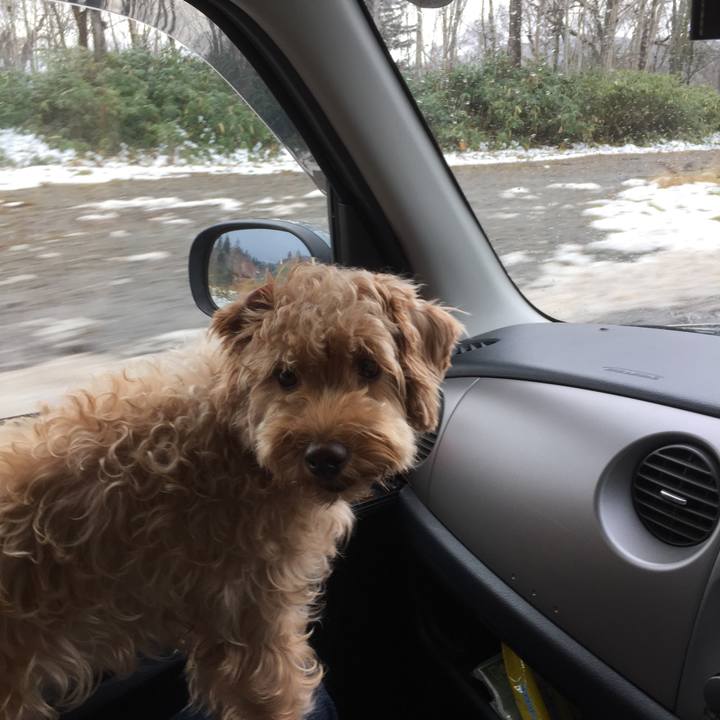 3538f917 e183 46c0 a420 967bdbb1b934 1508477407283