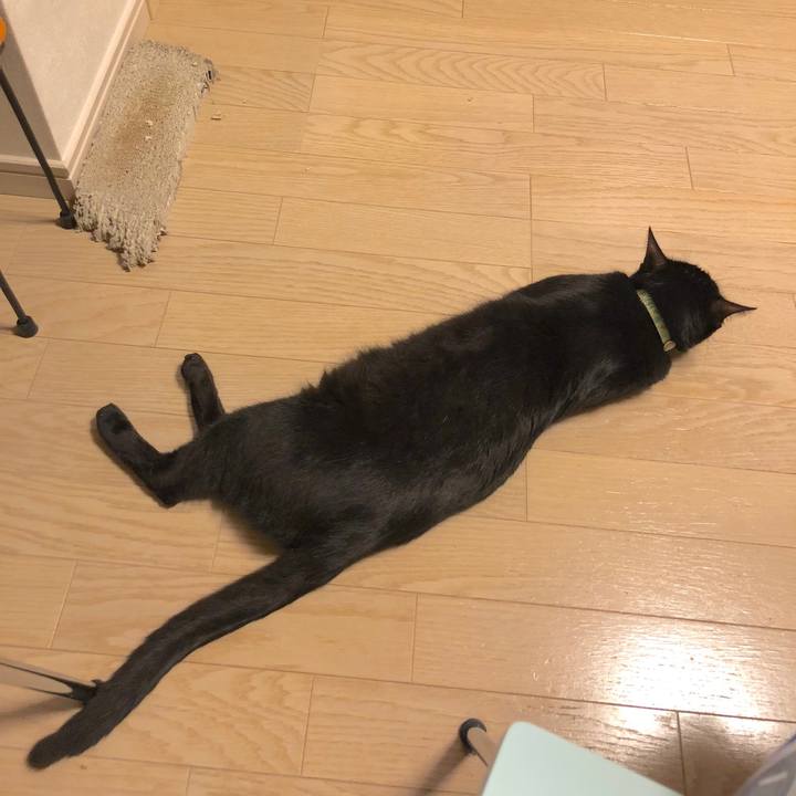 3539004e 27ce 4541 8ec2 1b78410f0ba9 1528384023964