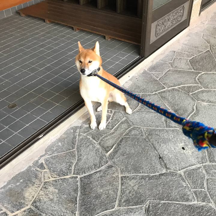 3539075b a2dc 4cd8 a637 83a39bd1f8ef 1541592435646