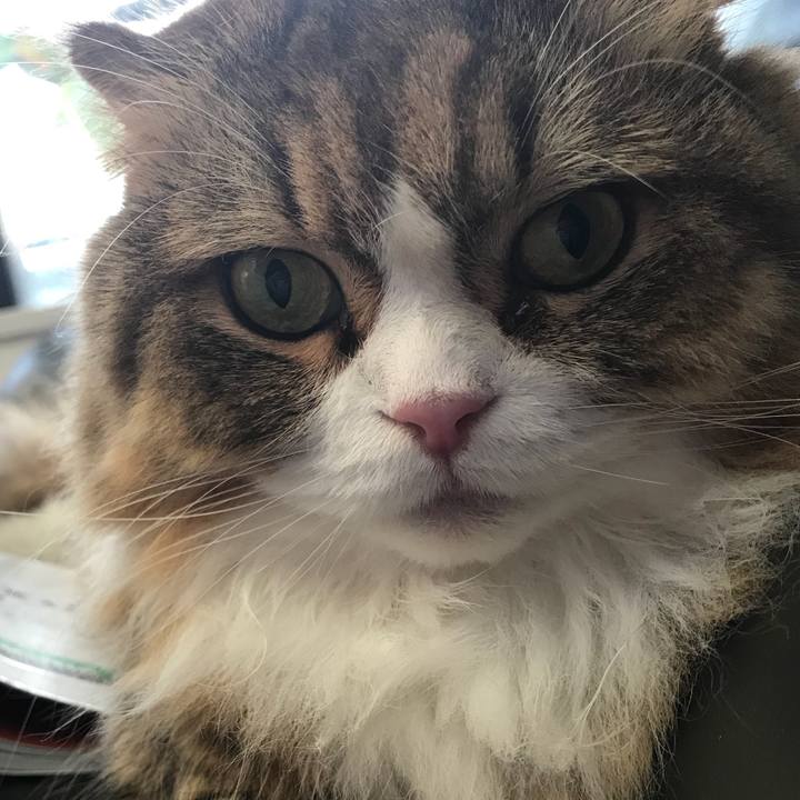 35391452 a280 4f12 80d3 d7d9018b2bba 1534323751370