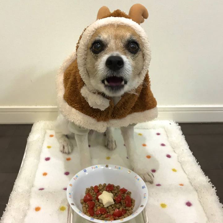 3539376b 582d 443c a9b9 3e8609dad04a 1577182168365