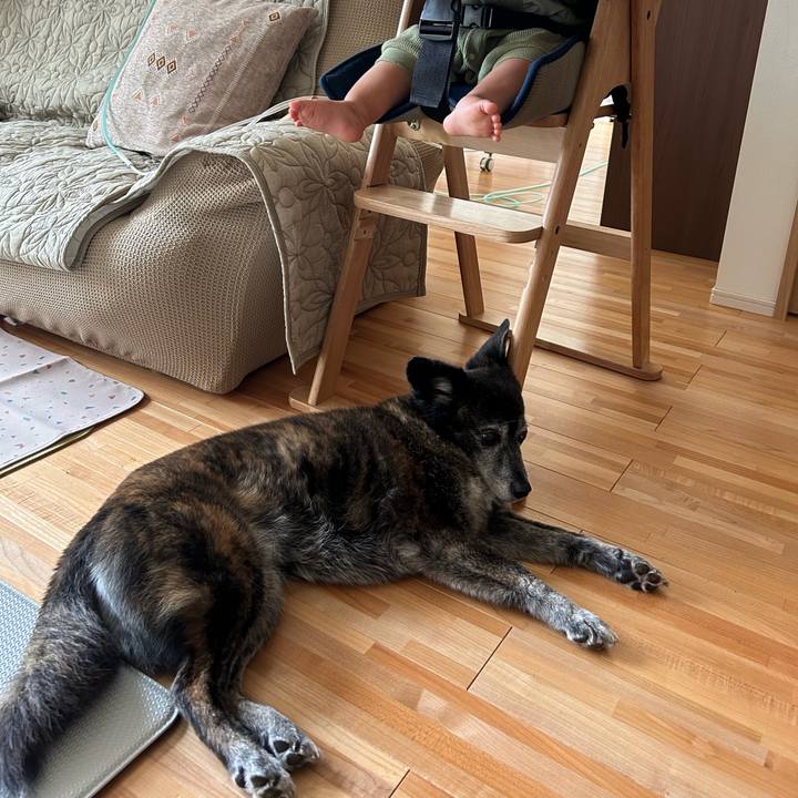 35394e88 6312 4cf9 ac25 3d50079d9d65 1721694178108