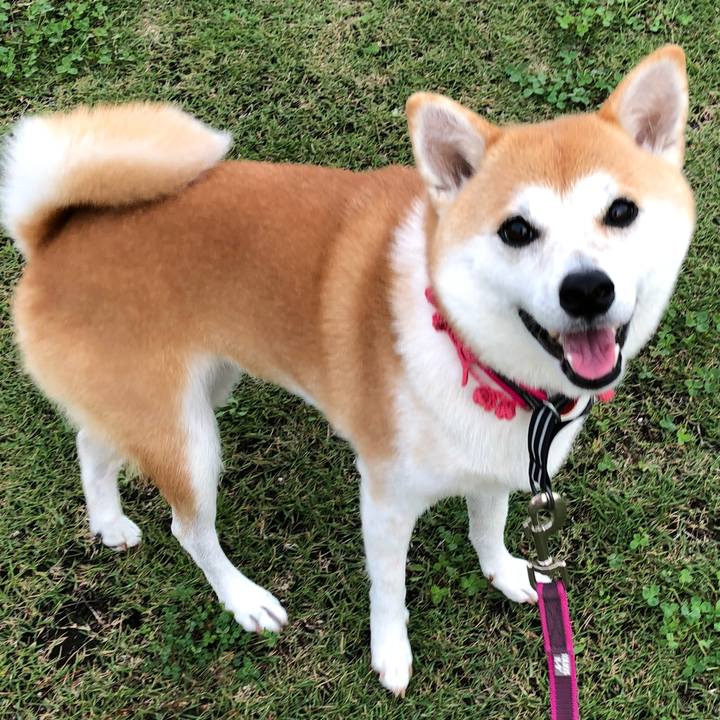 353965ba 74fa 4409 bb1c 74dbec6f7581 1538738795454