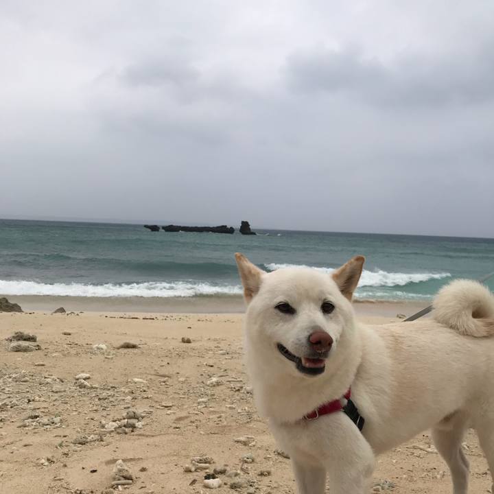 35398ab3 5a33 4504 98cb 1f906723f904 1568845084898