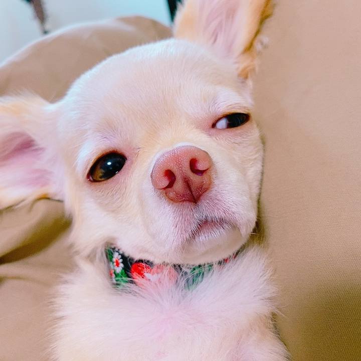 35399c22 1cdb 4d51 a7e2 42ea7784005b 1630467602462