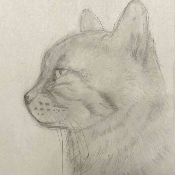 3539aa38 fa67 48b2 9d45 baa6fff51ee9 1630545216702