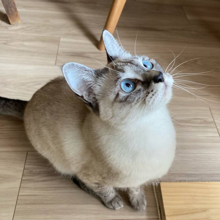 3539fbc3 7701 467d 86d2 fea9f65fb349 1603240348695