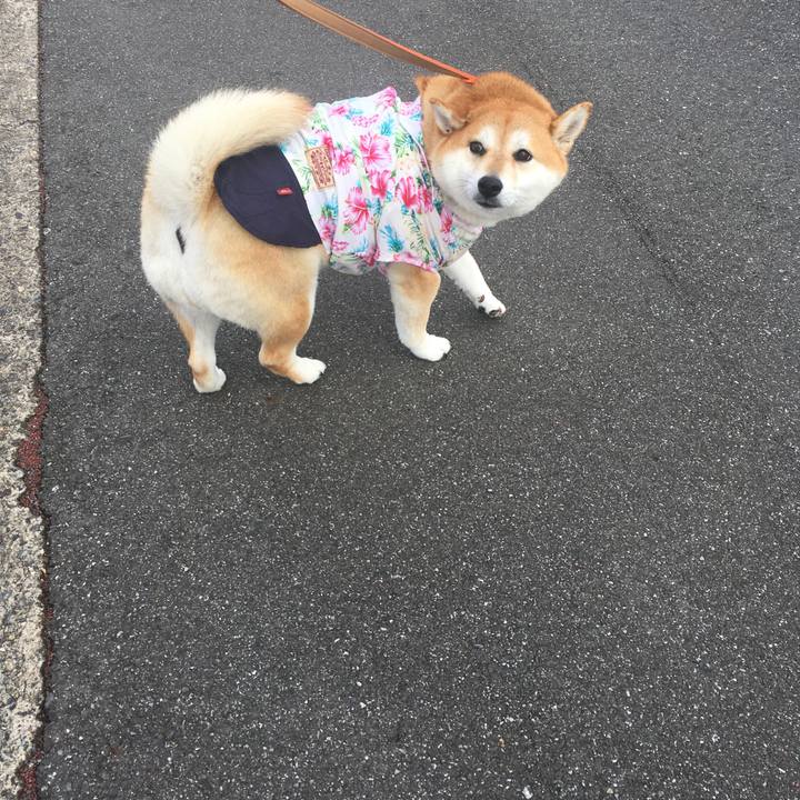 353a191f 8114 4718 b081 89316ab78a29 1571457950263