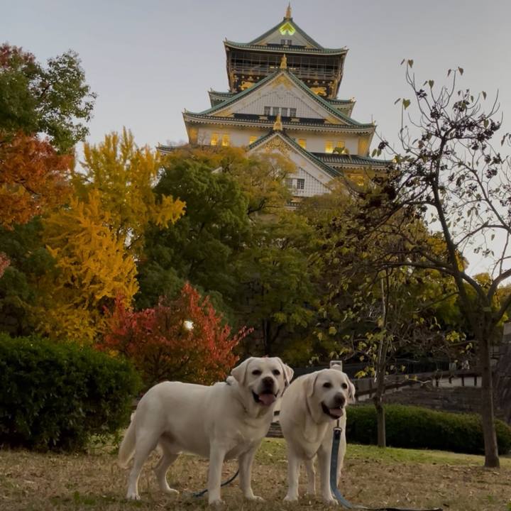 353a5fd9 5678 4920 a737 b9745742e83e 1764222314252