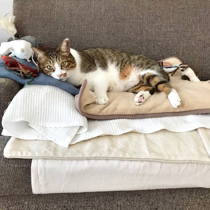 353a763d 2dce 49ad 9b6e 4d3d40183f2e 1549251130623