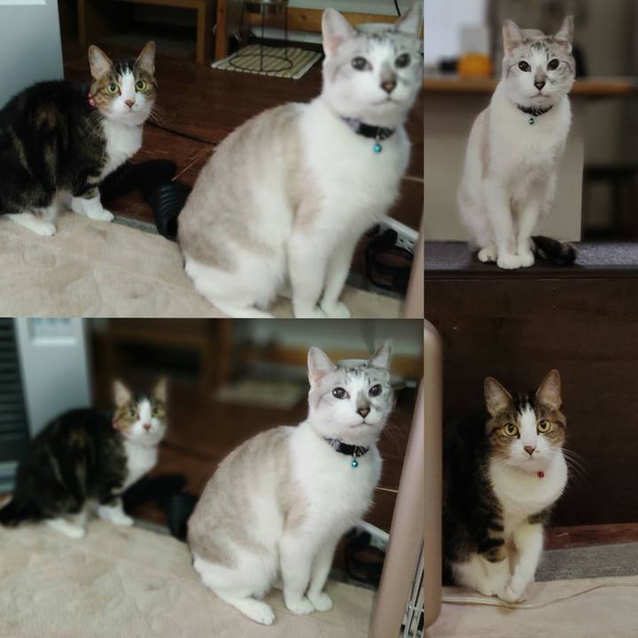 353a8015 d3cd 4da9 b8b4 e745009bed47 1617094491838