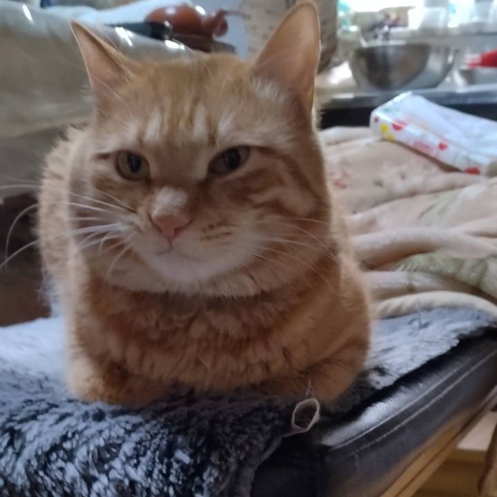 353acdac 40b5 4ff6 b018 ea315ddc1b90 1673438947332