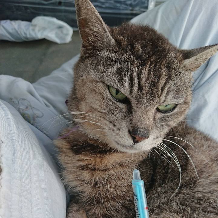 353ace2c 8ae8 4941 bcfd e1e7f6db8304 1591907927159