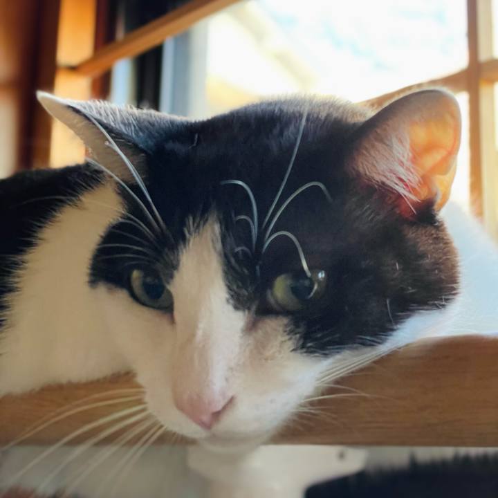 353ad6c2 1c6f 4850 9249 ecda95639b4c 1634955644702