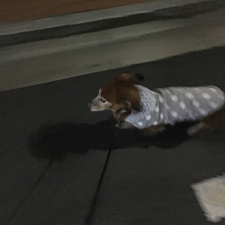 353ad6e5 d0f5 4b25 a1d0 e3d4cb372802 1770545492525