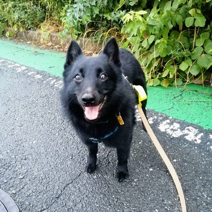 353adac7 10e5 4169 8235 fe51c7b7589e 1660682907380