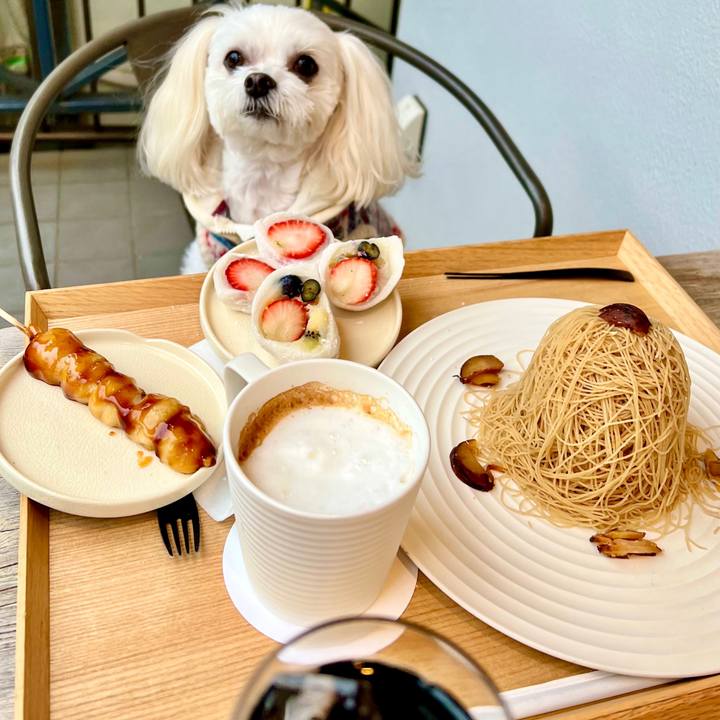 353add06 d8fe 4219 9de3 730d55ce181f 1671515618621