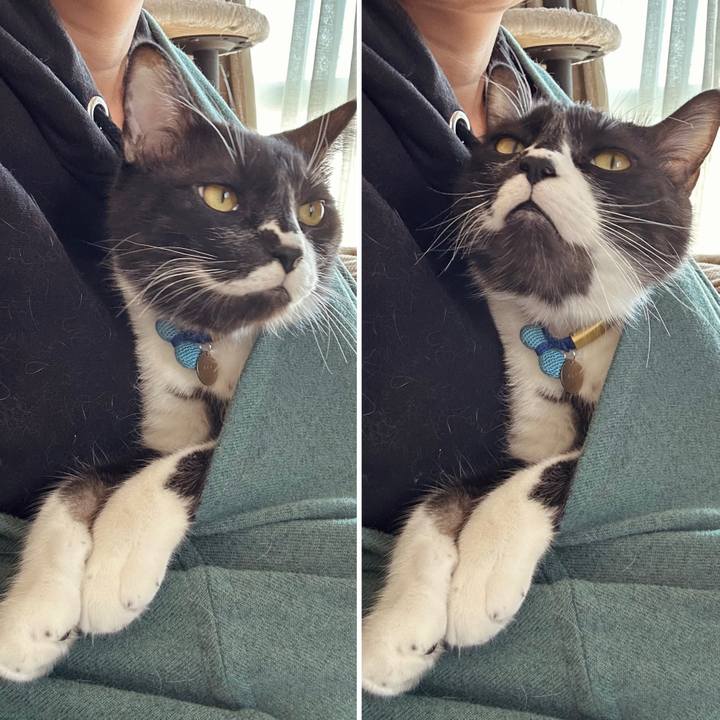 353b54c6 5b32 4c9d a631 d1f303db6796 1770868391450