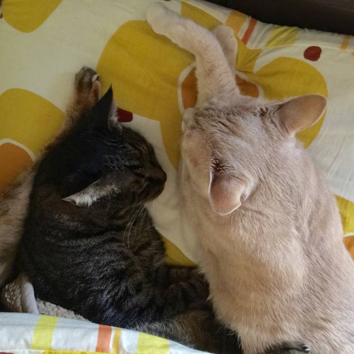 353b9d60 61af 48c7 ad4b 381ada9bc2f2 1549953090472