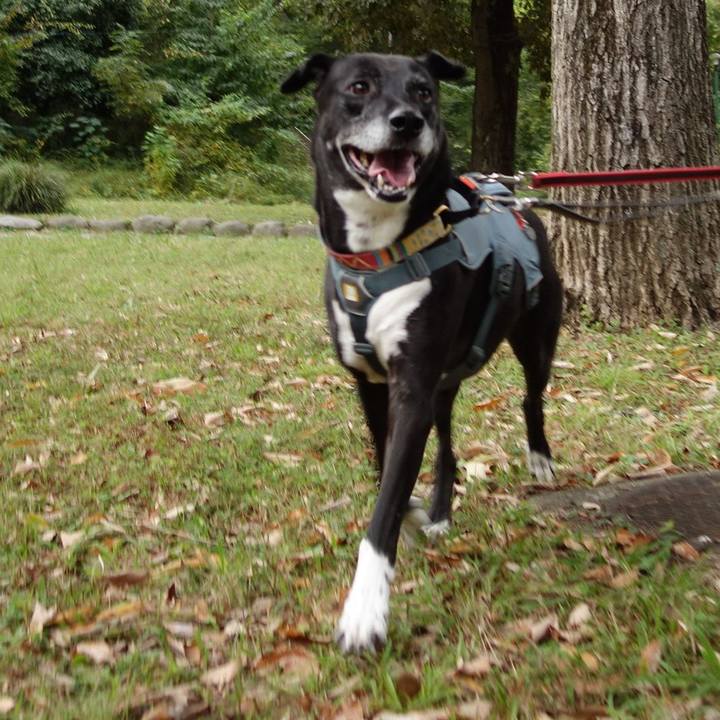 353bef4d 0f60 4b6c a27f 51ce1cbafa20 1731206059328