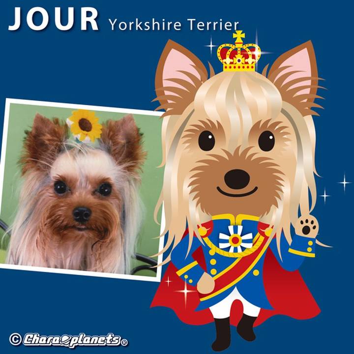 353c4ca9 524c 46bf bae8 13013980483d 1561080638993