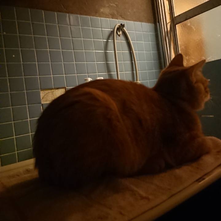 353c9988 a50b 4fea a7e3 6c236297326c 1635932096077