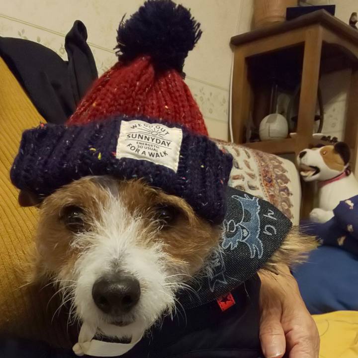 353ce174 cbbf 4dd3 91ad cd65998ef95c 1549030036194