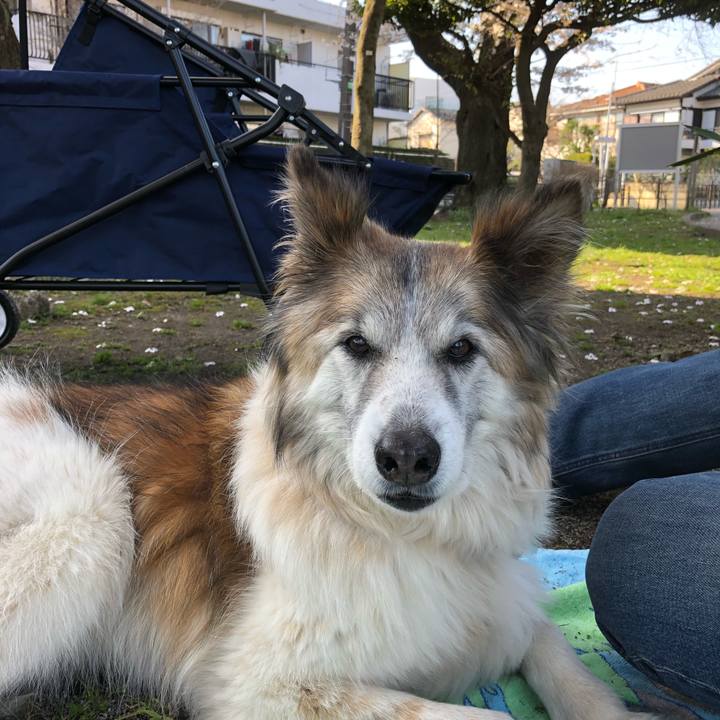 353ce718 3961 4d86 8ab9 b20476b267a0 1521962153824