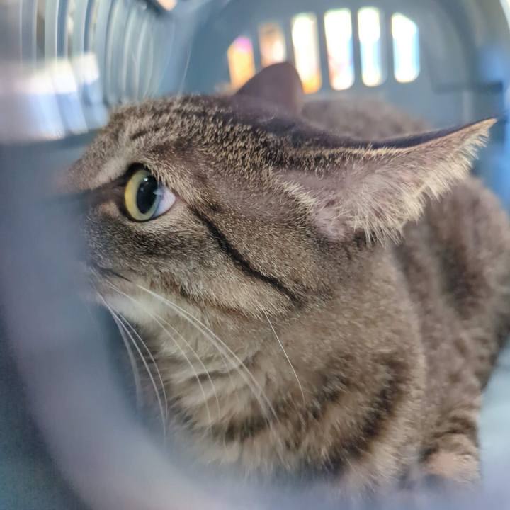 353d083d 8243 4cab bccc 98e1a16c5122 1766994118696