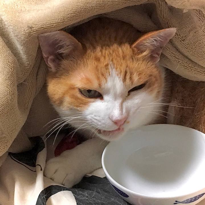 353d0b0f 35ef 41ad aada a1f7d7b79b8c 1589954858360