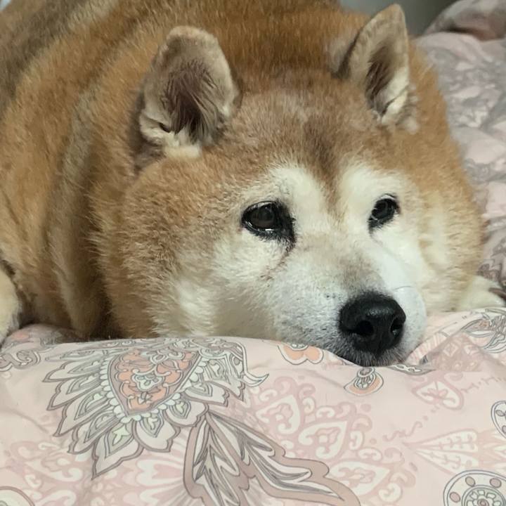 353d3b9e 1ddf 4378 ad22 4350d640a4bb 1632484461455