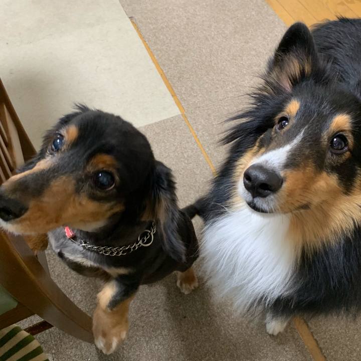 353d54c0 a9c0 48d0 a82b a2da34025b14 1552341598228