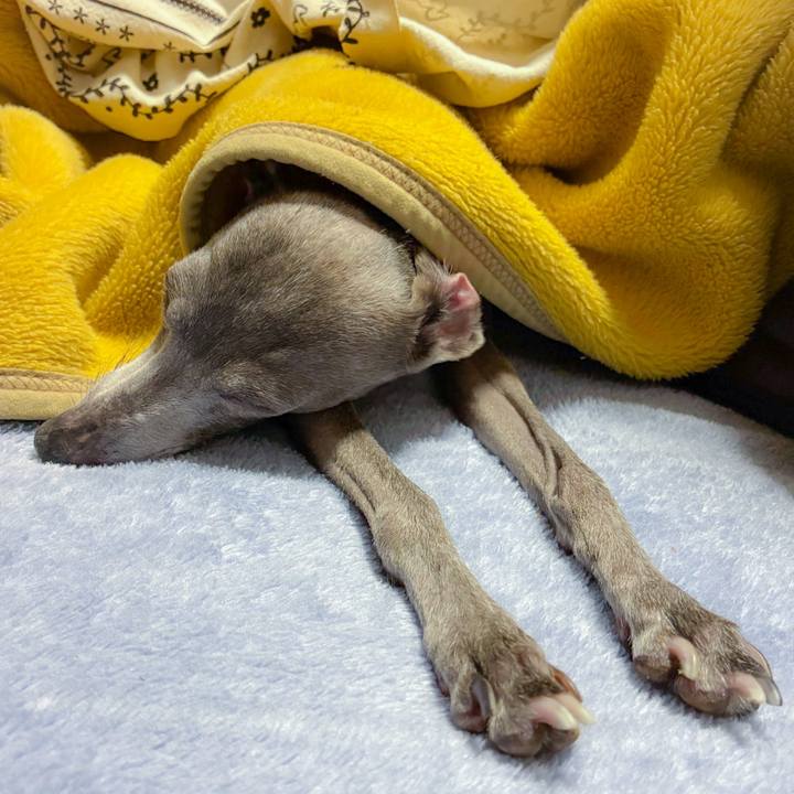 353d72fd 2427 4cdf 9c79 0923d9433a8f 1773136726075