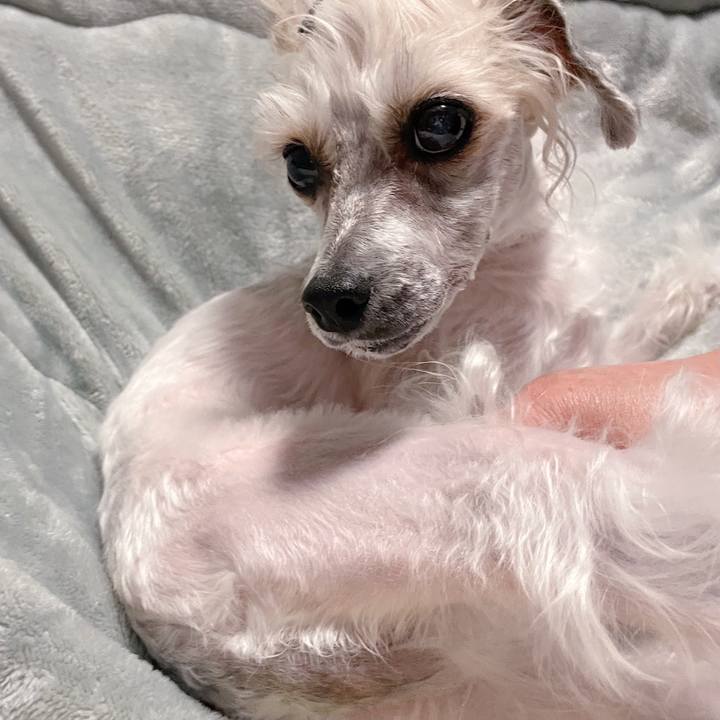 353d897d 8cb5 4139 aab2 b3dd7f6868f0 1770196443899