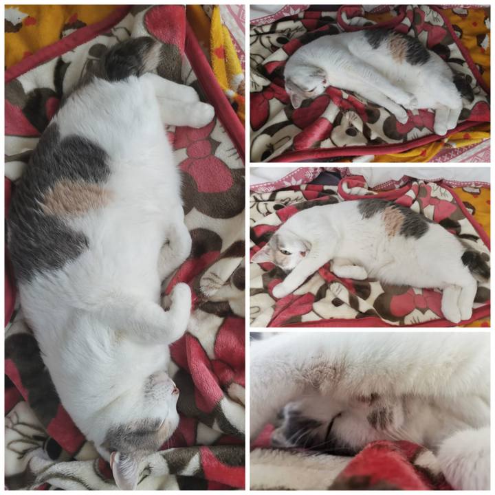 353da33d 2365 4289 8691 b734ea9dca80 1678161613648