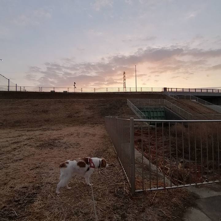 353dbff5 2468 4a40 9505 84fe23daba1a 1610759192477