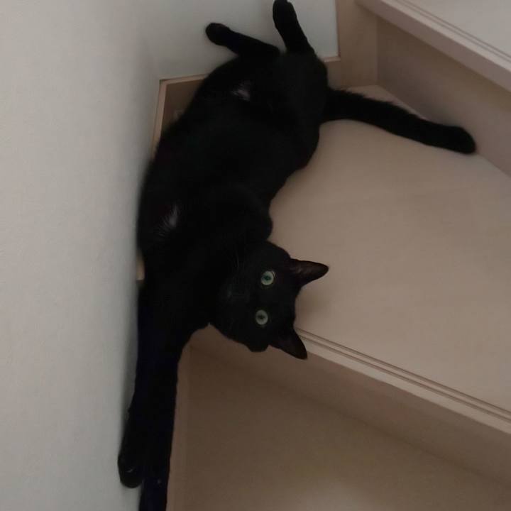 353de8ae 7d28 4350 b902 5c308c612442 1565936783243