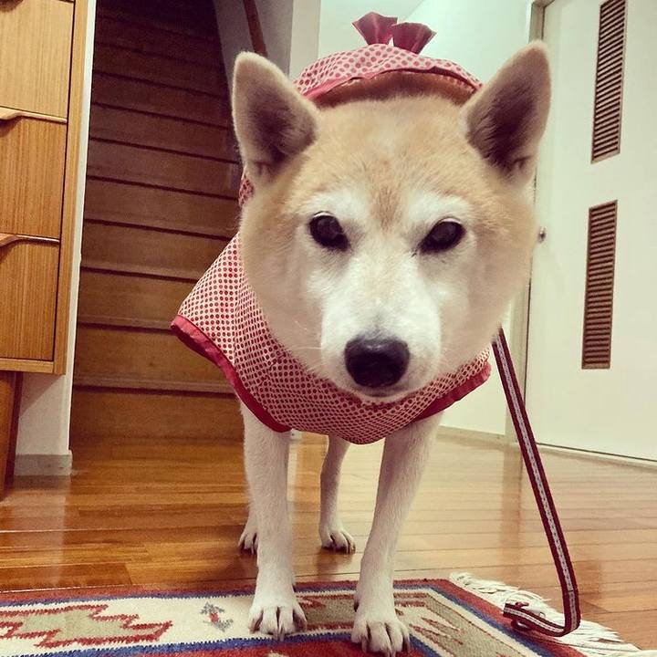 353dff96 5dfe 4e08 ad06 f2c2cf9c21d3 1613533729466