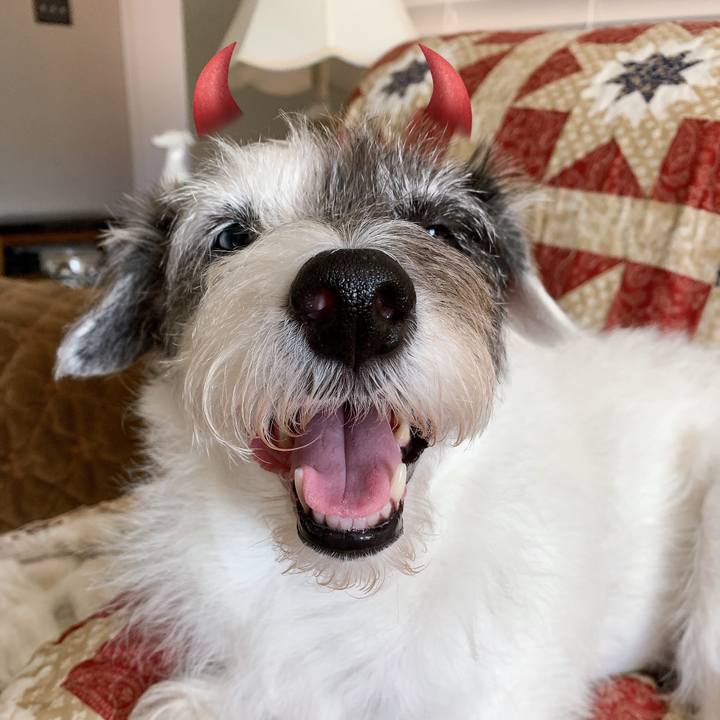 353e2071 5453 4b79 9367 fec2f670a111 1635554007831